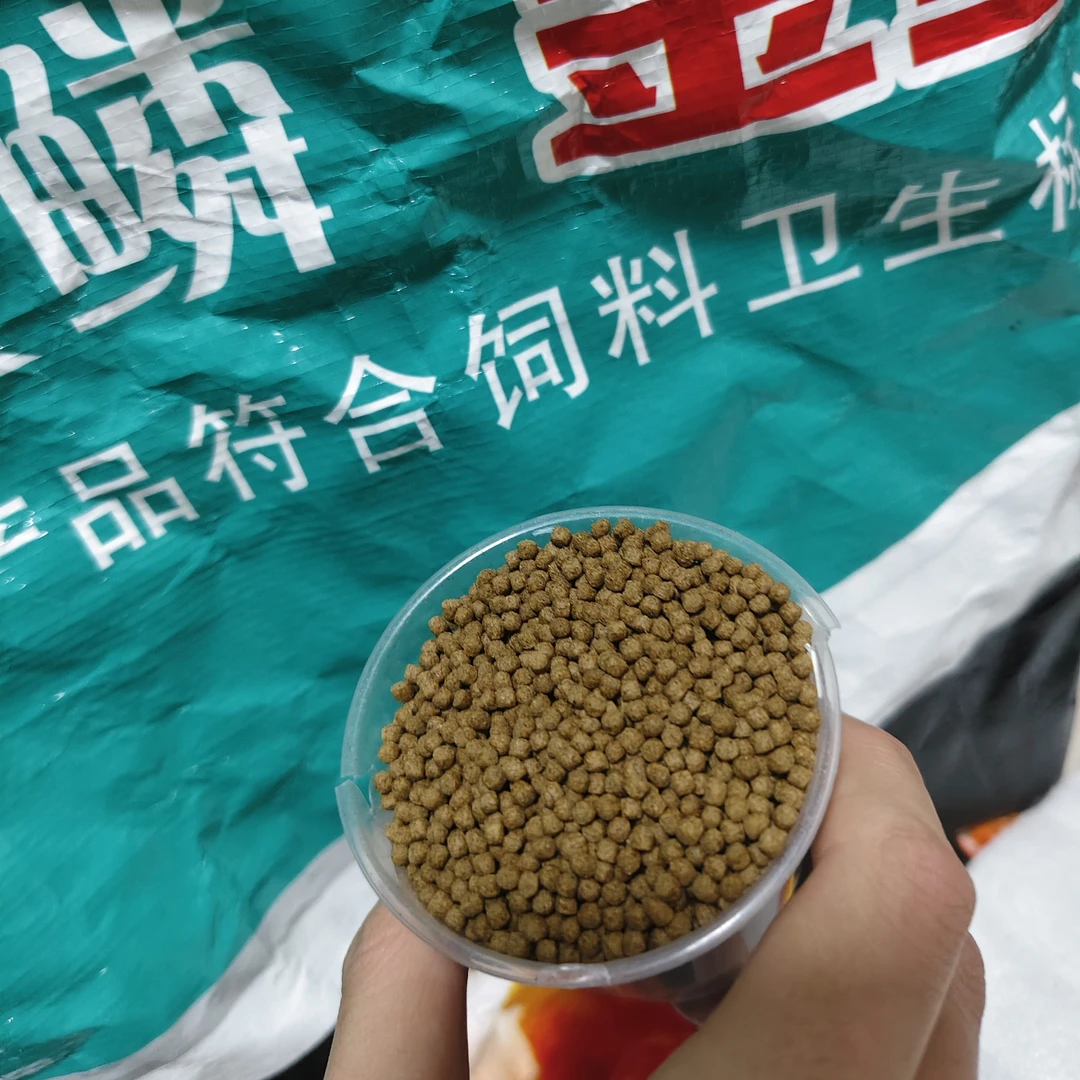 泰狮鱼专用饲料颗粒增艳鱼食观赏鱼通用鱼粮