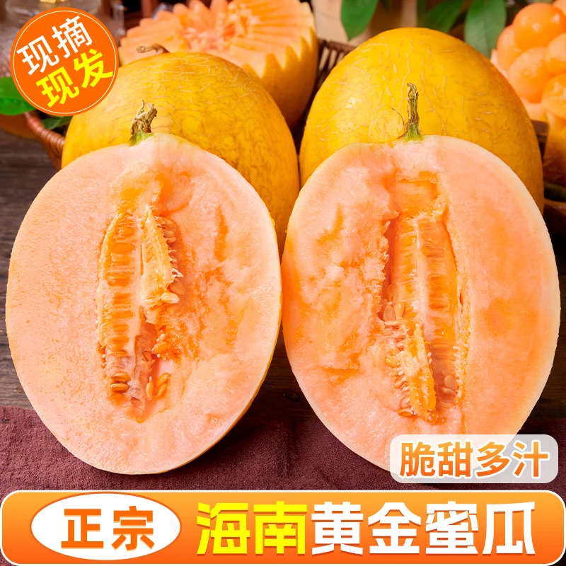 正宗海南蜜瓜黄金蜜瓜哈密瓜新鲜水果当季脆甜香瓜应季水果甜瓜