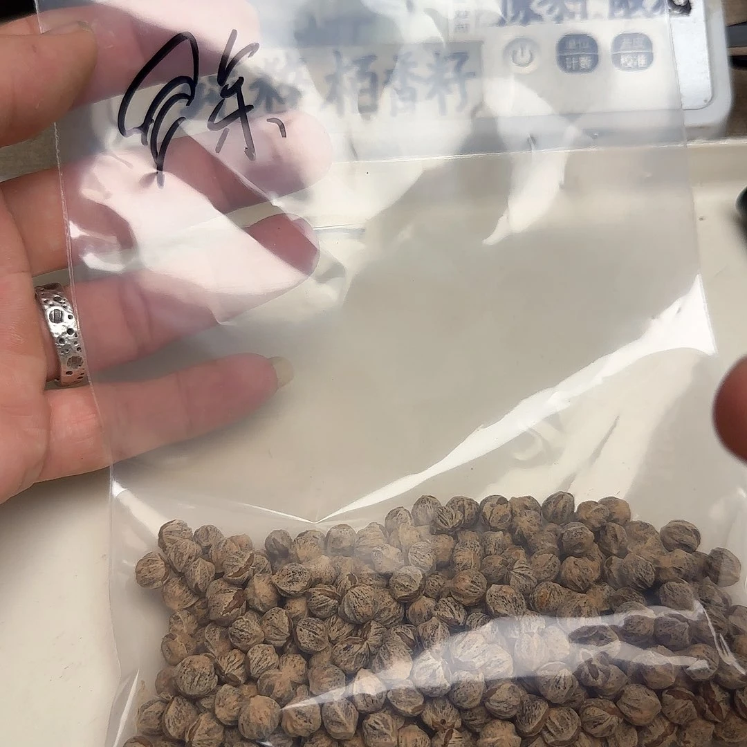 ****淮吊坠柏香籽/百香籽
