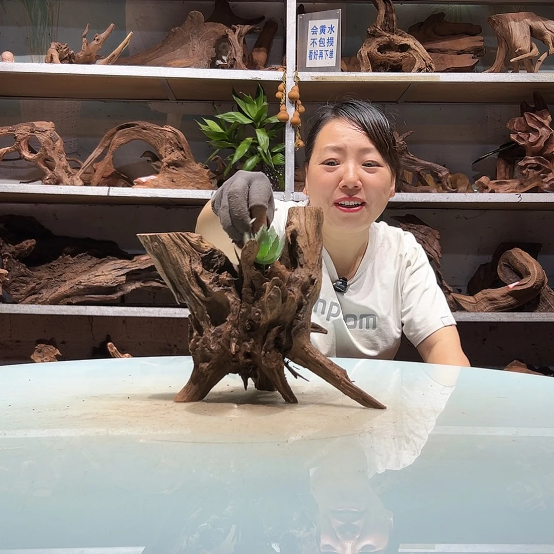 夏***末紫砂紫柚沉木不包损不包秒沉介意慎拍1717……