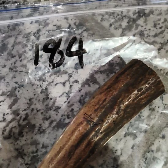 天***客鹿角鹿角鹿角鹿角鹿角鹿角