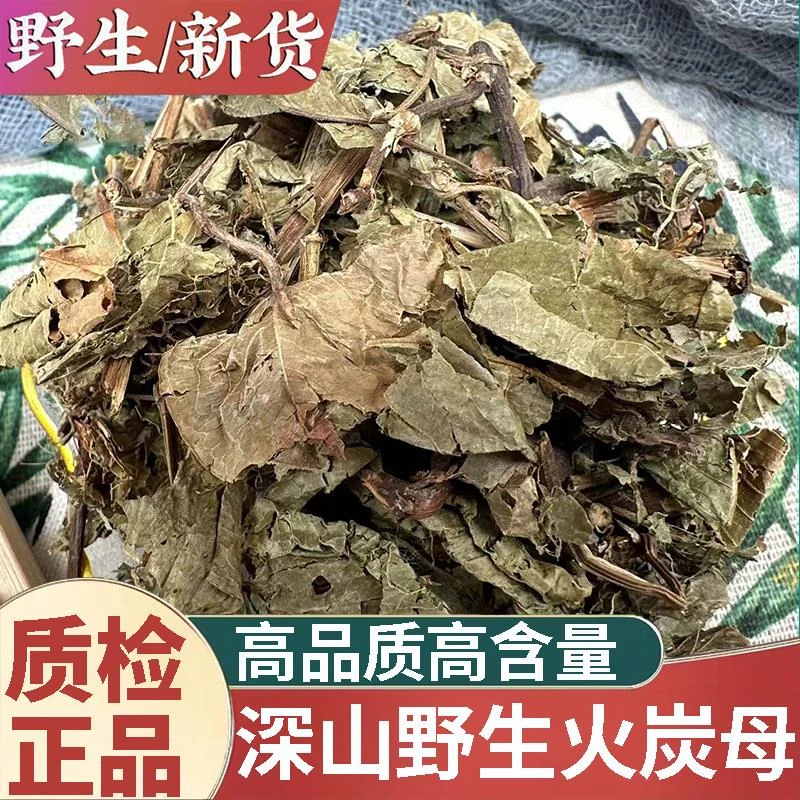 野生火炭母新货中药材新货正宗精选赤地利为炭星白饭草火炭母