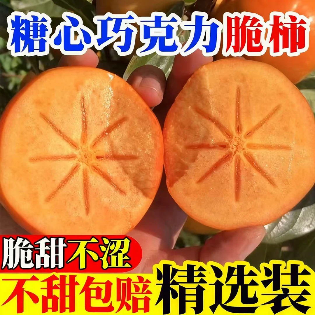 现摘头茬阳丰脆柿巧克力冰糖心柿子新鲜应季水果