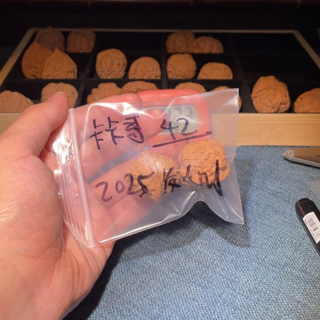 文玩核桃把件卡*58999999889