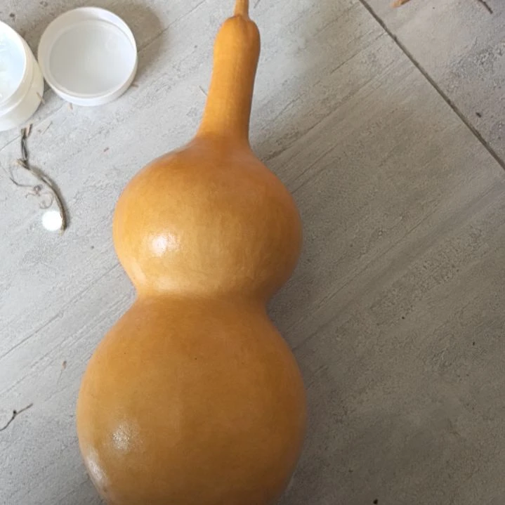 是*呀二十公分蚂蚁葫芦一个