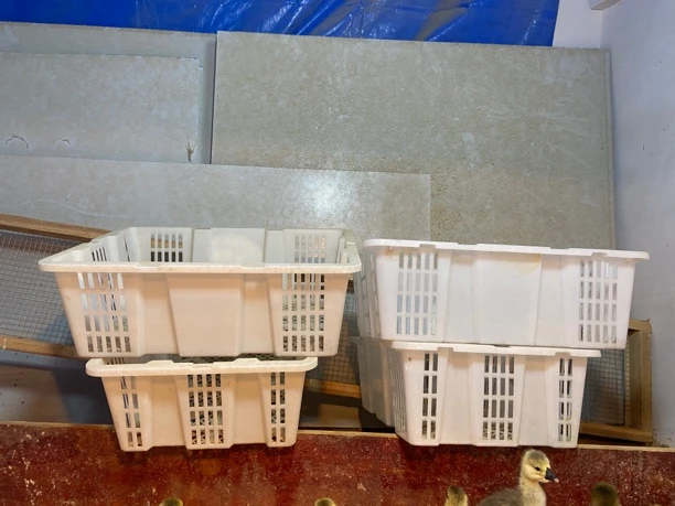 5只装长方形镂空塑料打包筐