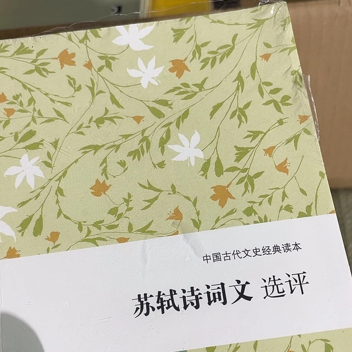 苏轼诗词瑕疵瑕疵