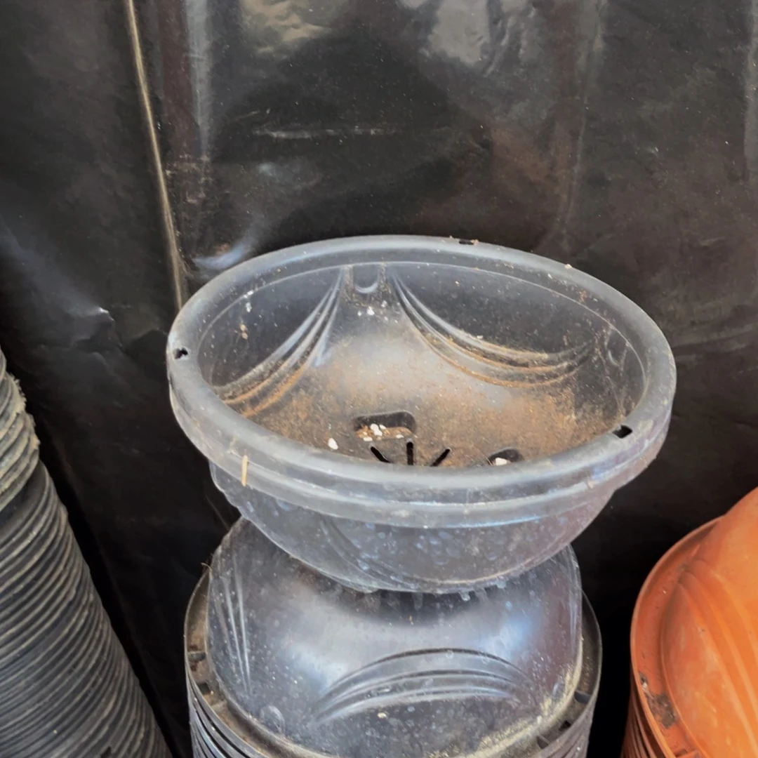 旧口径21吊兰盆10个