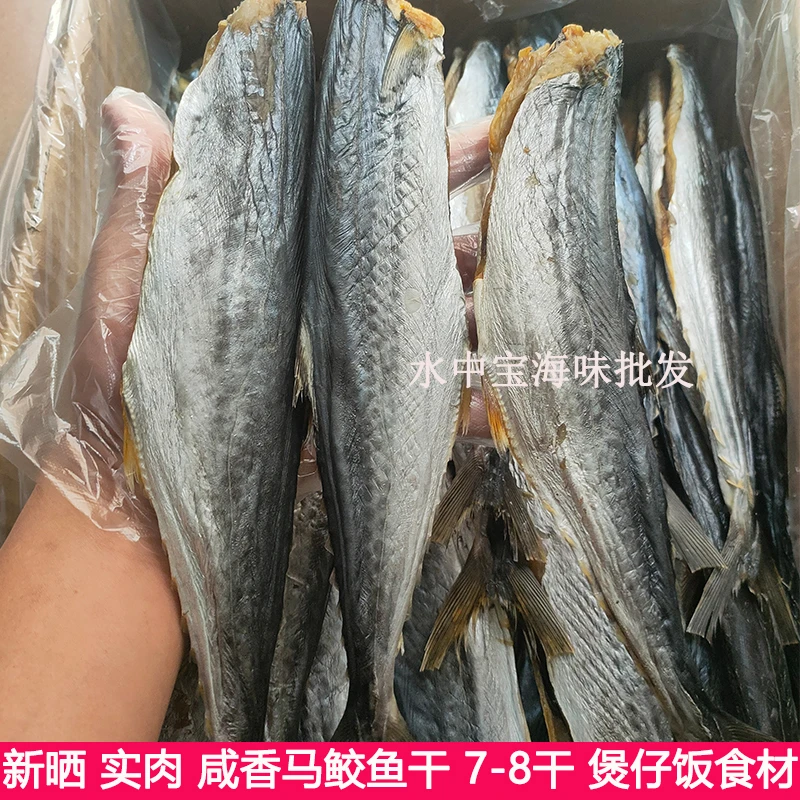 北海特产渔民自晒淡干深海马鲛鱼干微盐去头马交干咸鱼刀鲅鱼干货