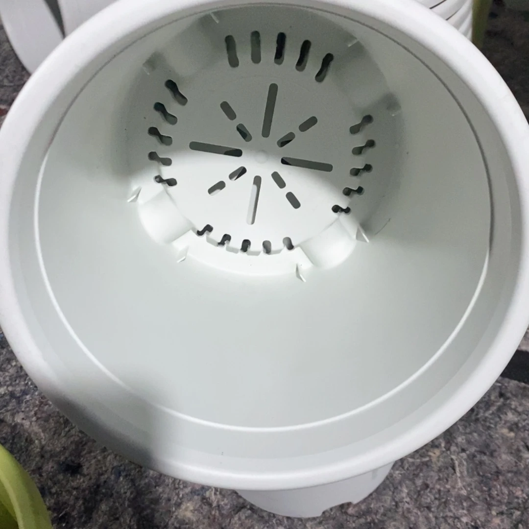 21口瑕疵伊特5奶白5天蓝无托