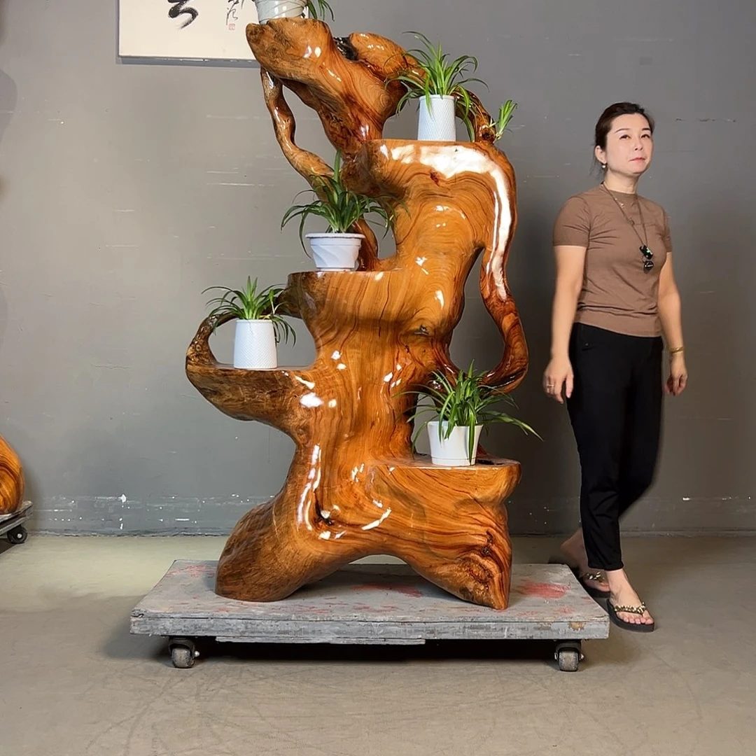 香樟木整体无拼接