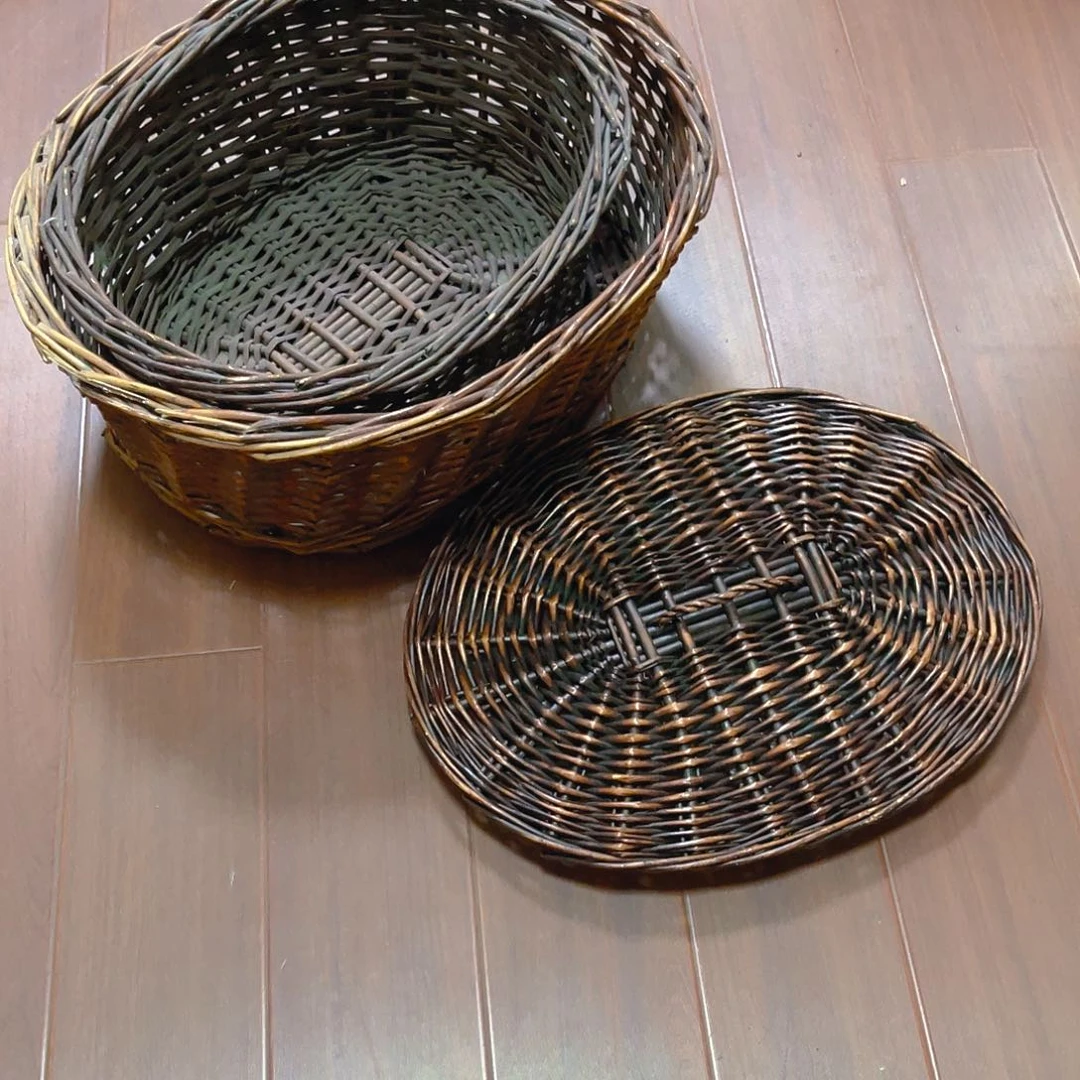 红陶红陶红陶红陶