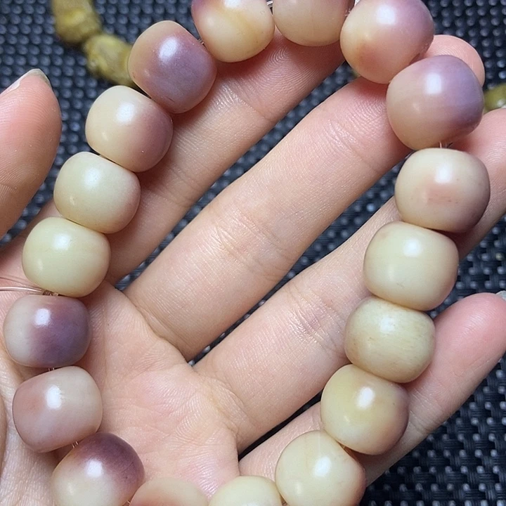 其他驼骨其他配饰