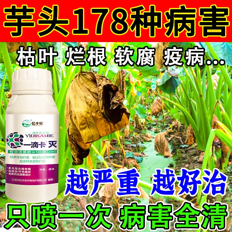 芋头病专用药防治烂叶斑点软腐病铜钱病芋瘟病疫病全治杀菌剂正品