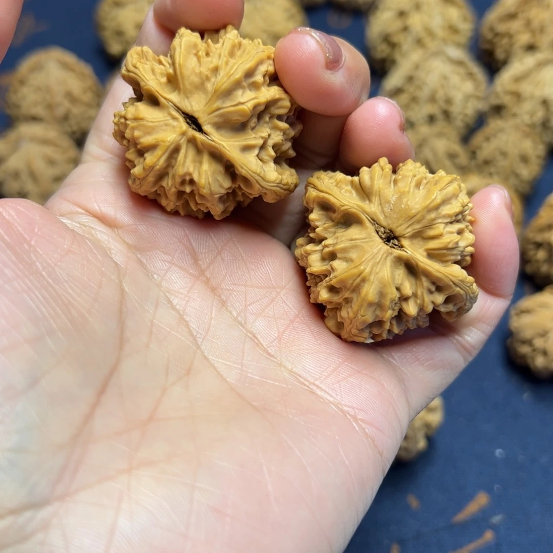 文玩核桃把件秦岭野生植物核桃