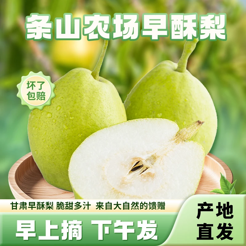 当季甘肃条山早酥梨脆甜青皮新鲜水果薄皮多汁高山梨子当天现发