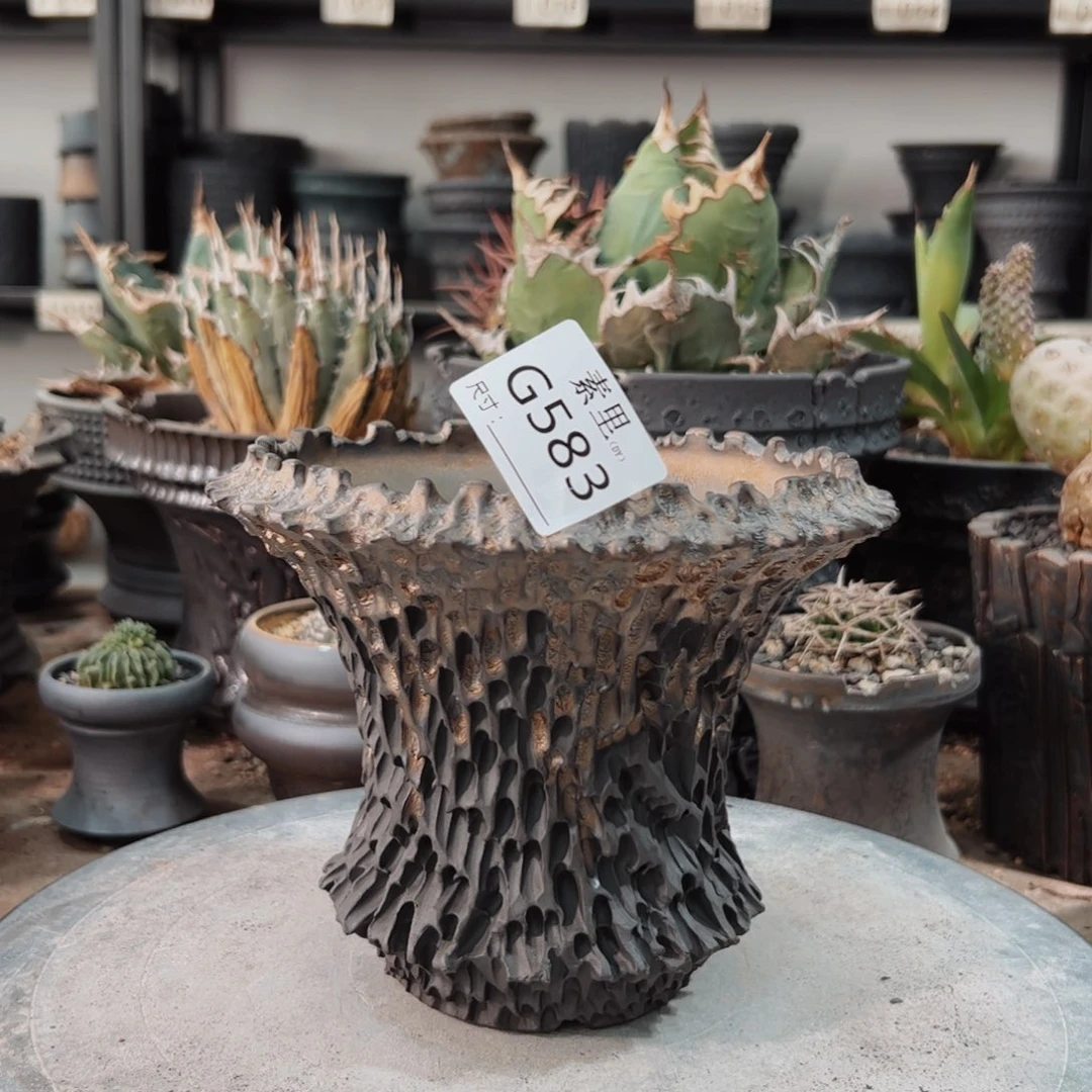 景德镇素里手工内口13.5高13