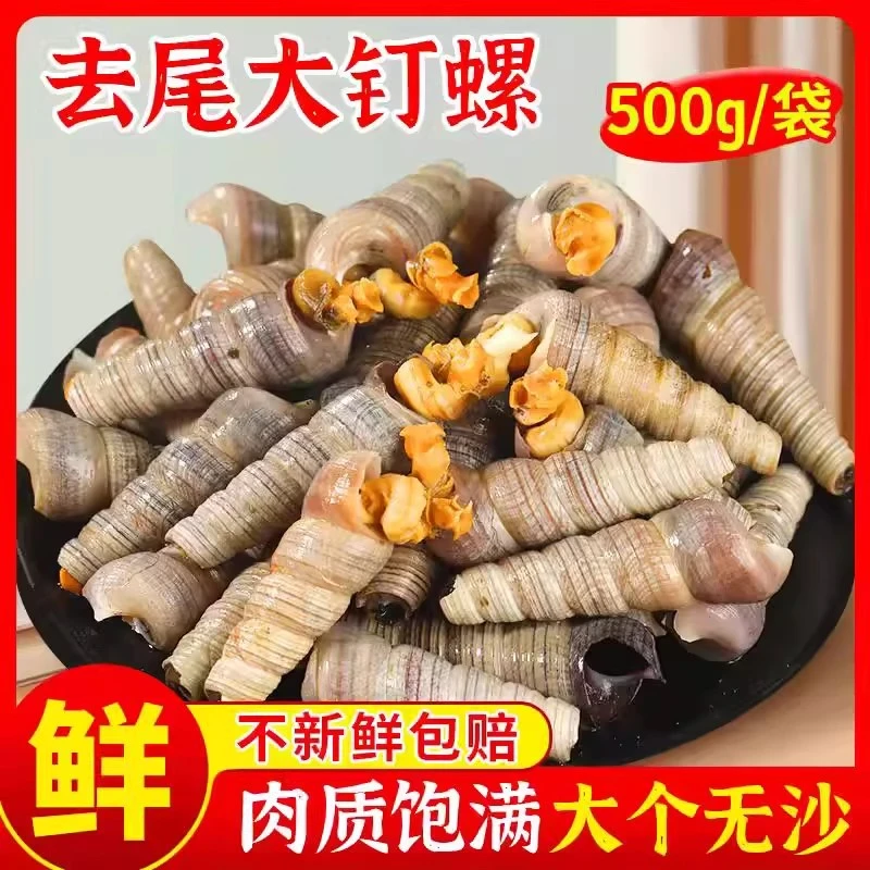 钉螺鲜活去尾大号锥螺新鲜海螺丝捞汁小海鲜麻辣贝类现捕捞