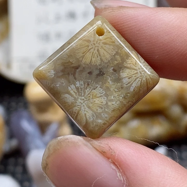 颈饰未镶嵌硅化珊瑚（珊瑚玉）小