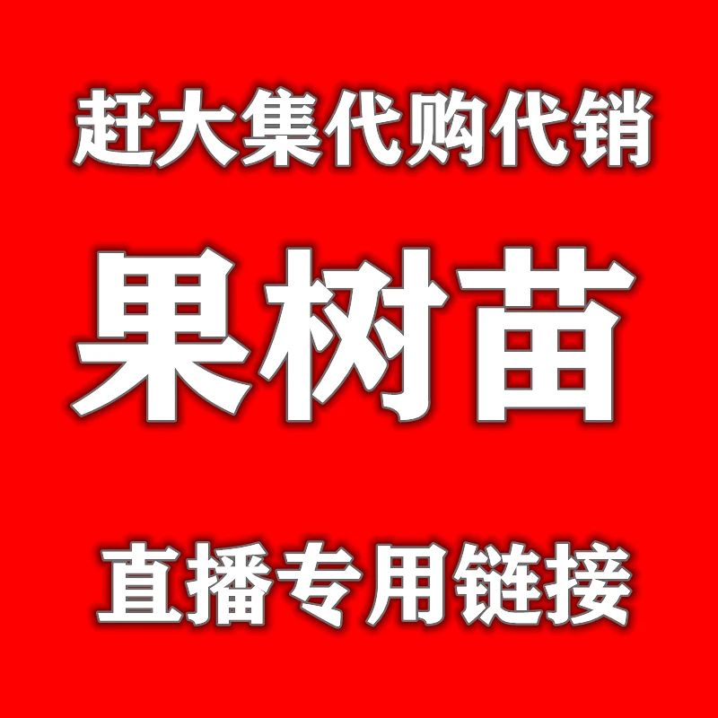 赶大集代购代买批发果树苗水果苗木南方北方盆栽地栽农村赶大集