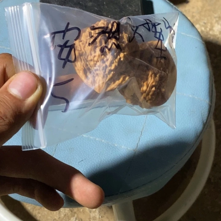 安***馆文玩核桃吊坠福利