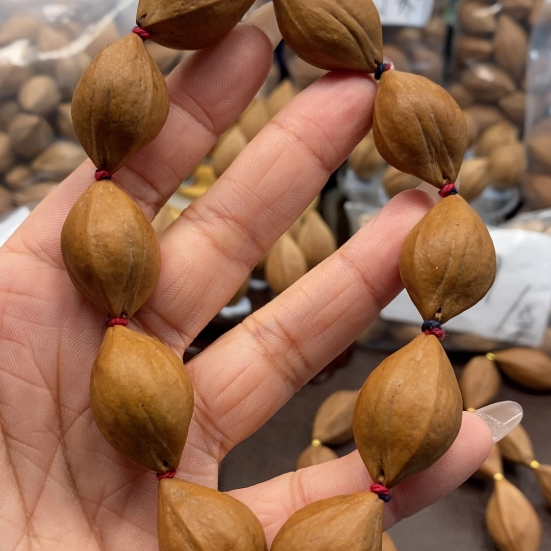 橄榄核原皮素核一条