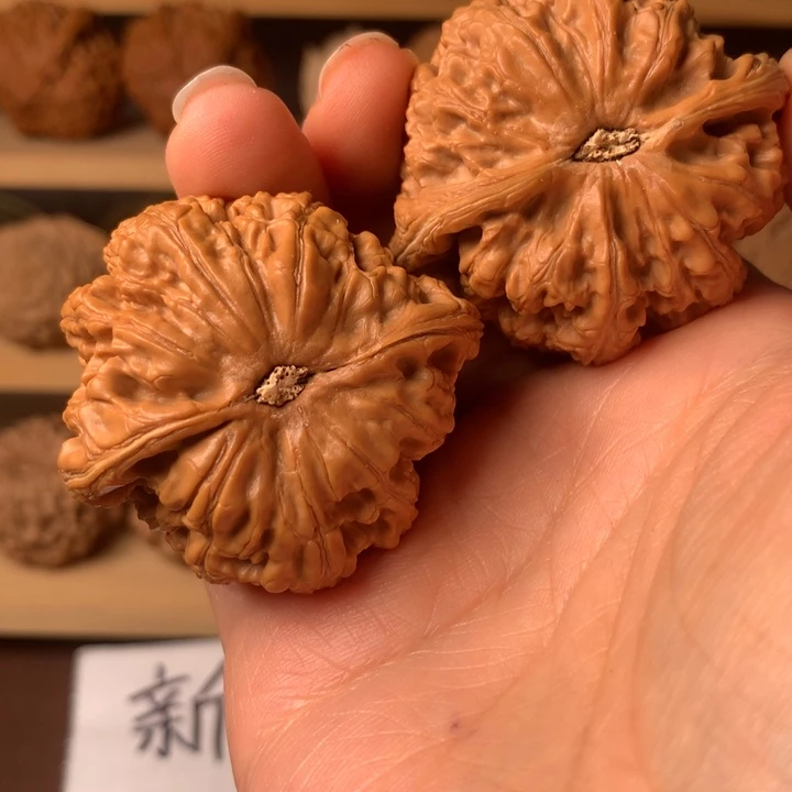 满***核大叶紫檀（黑酸枝木类）粗筋1