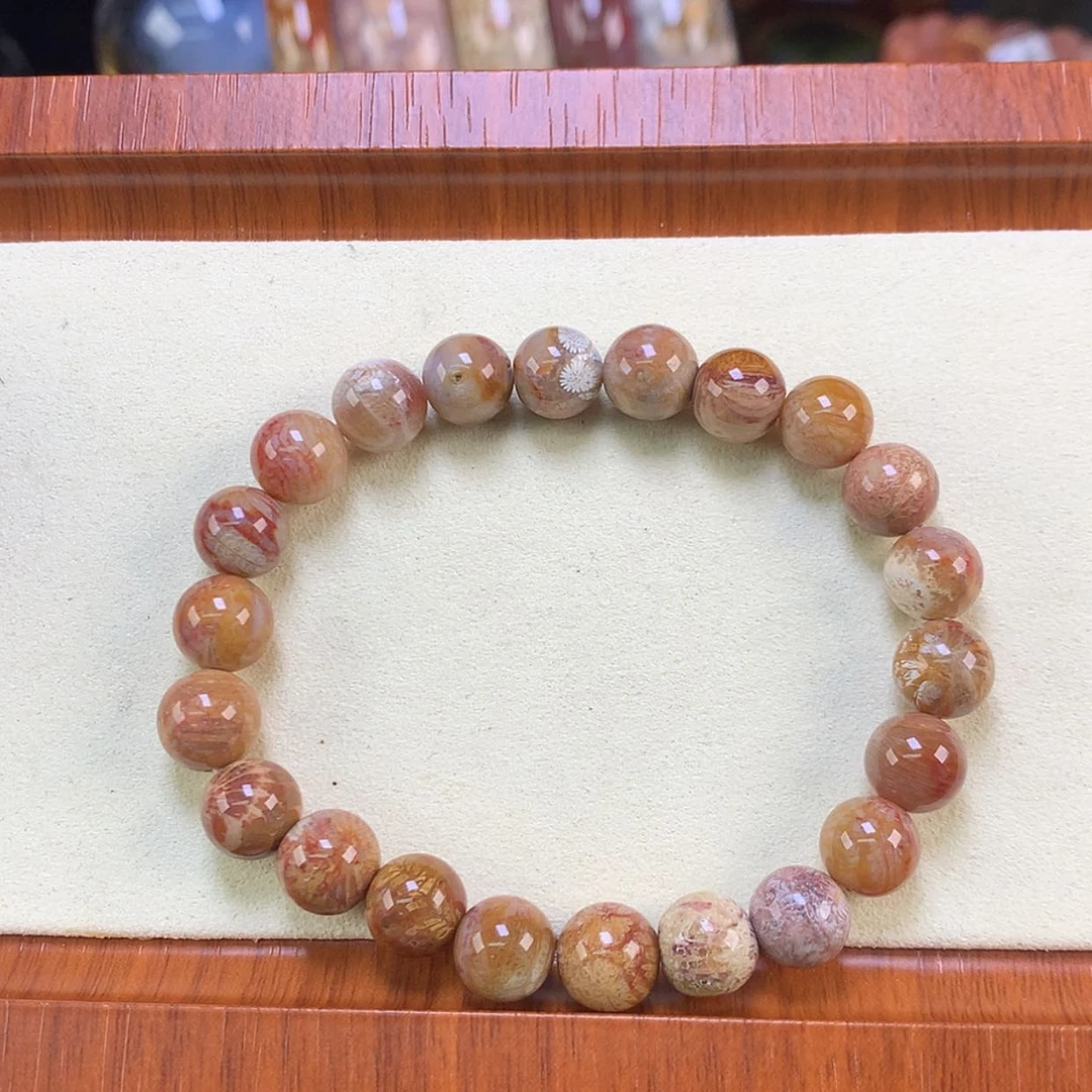 【闪购商品】颈饰未镶嵌硅化珊瑚（珊瑚玉）福利手串快冲（13号）