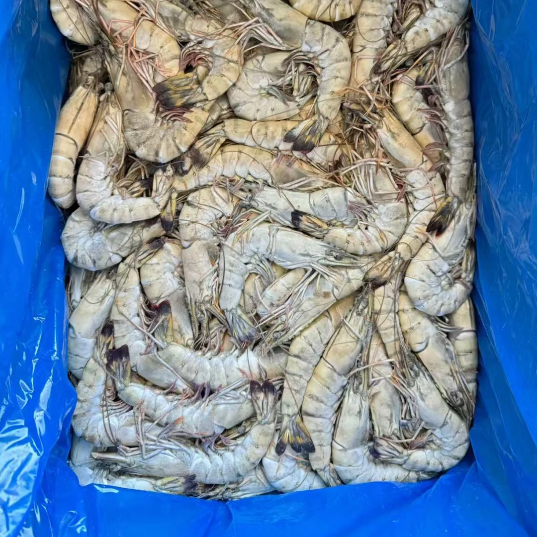 黑虎虾大板原箱发货12kg/箱超大黑虎虾个大无冰连云港顺丰发货