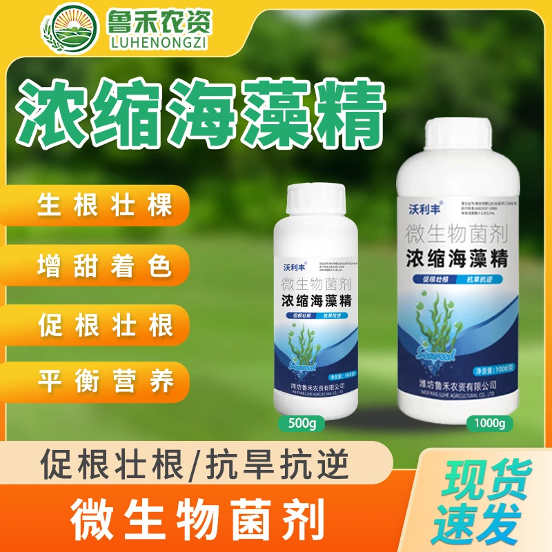 沃利丰生根绿叶海藻精壮根绿叶靓果抗旱抗逆蔬菜果园通用叶面肥