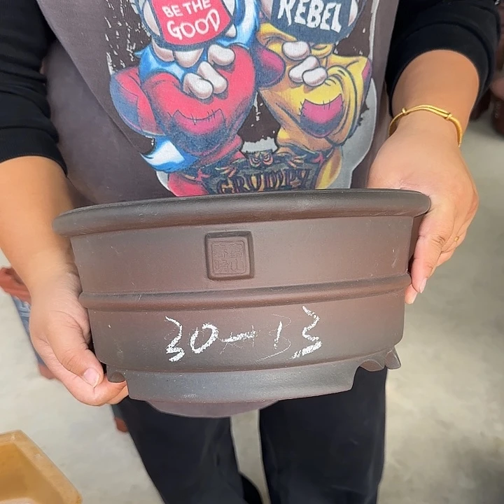 我不晓得咋搞诶了