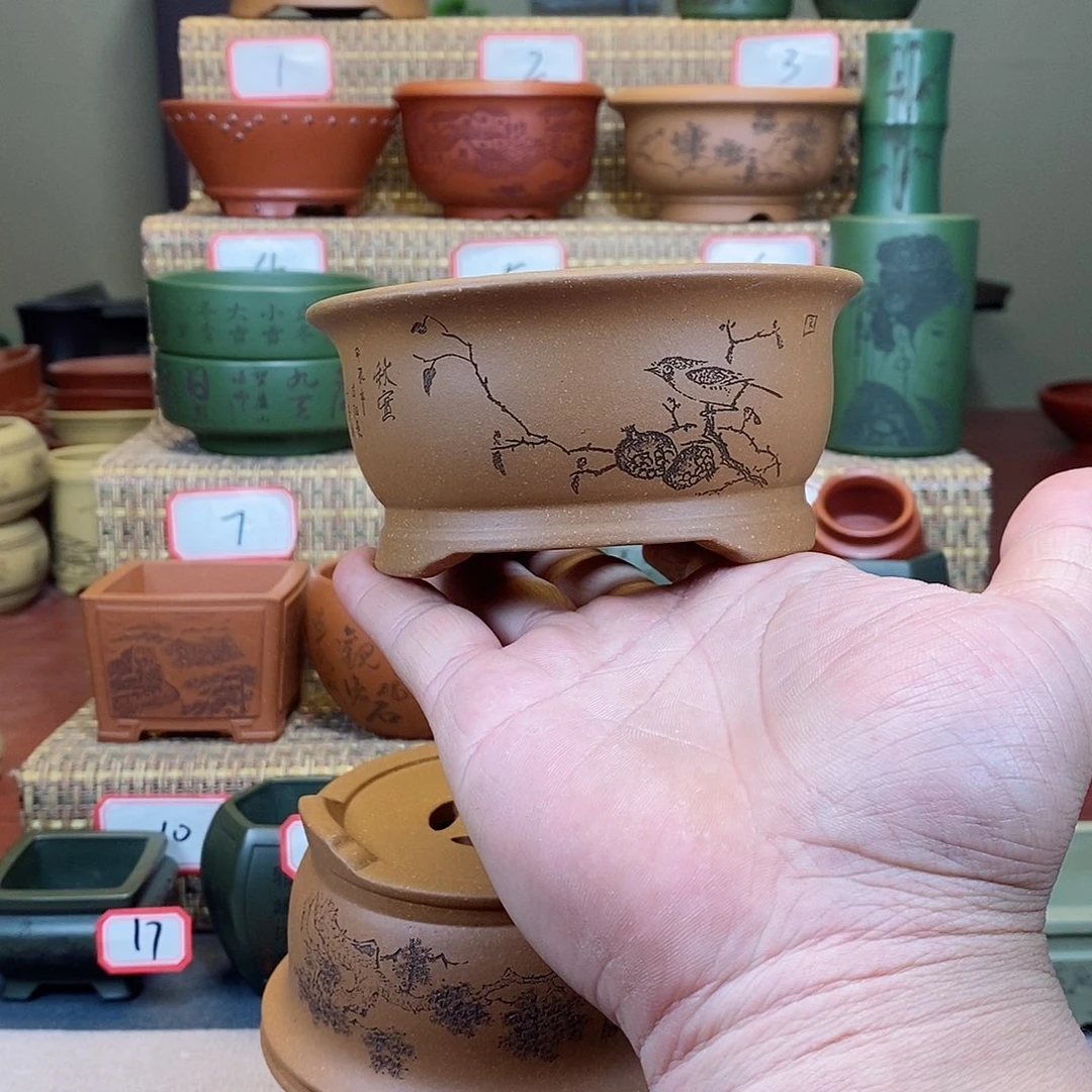 紫砂花盆我在等一