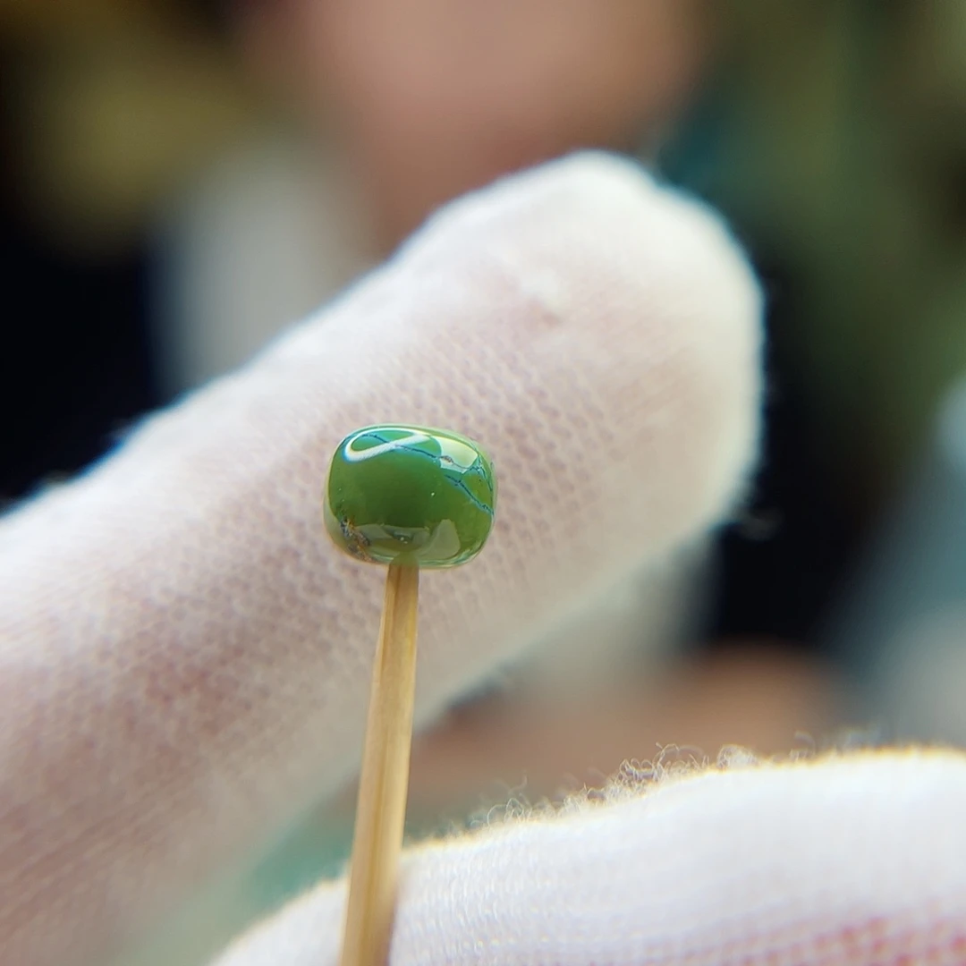 未镶嵌绿松石珠宝奇石7.1