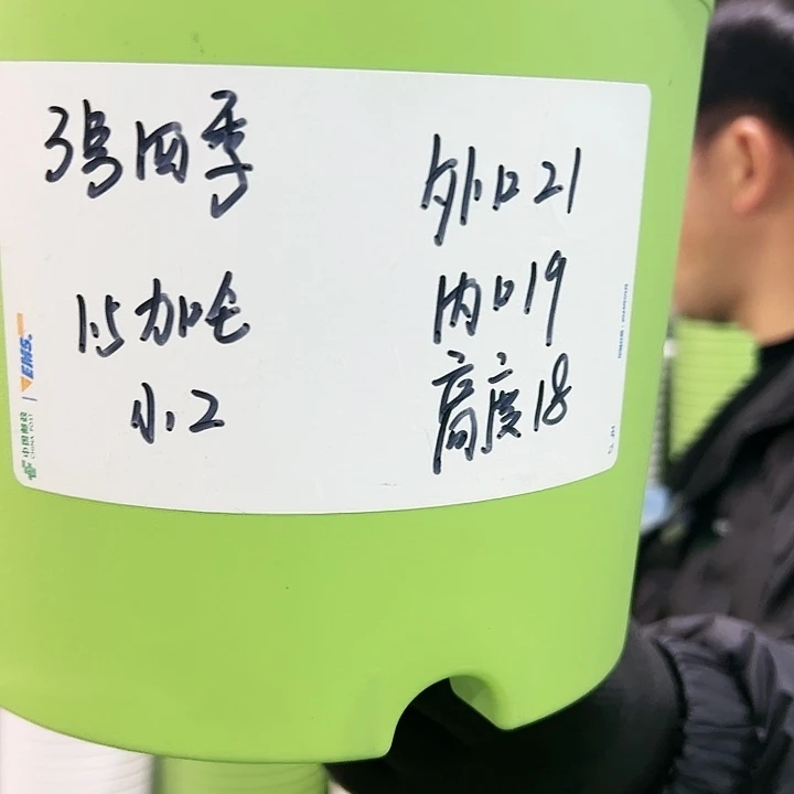 特价3号四季口21高18白色10个带托