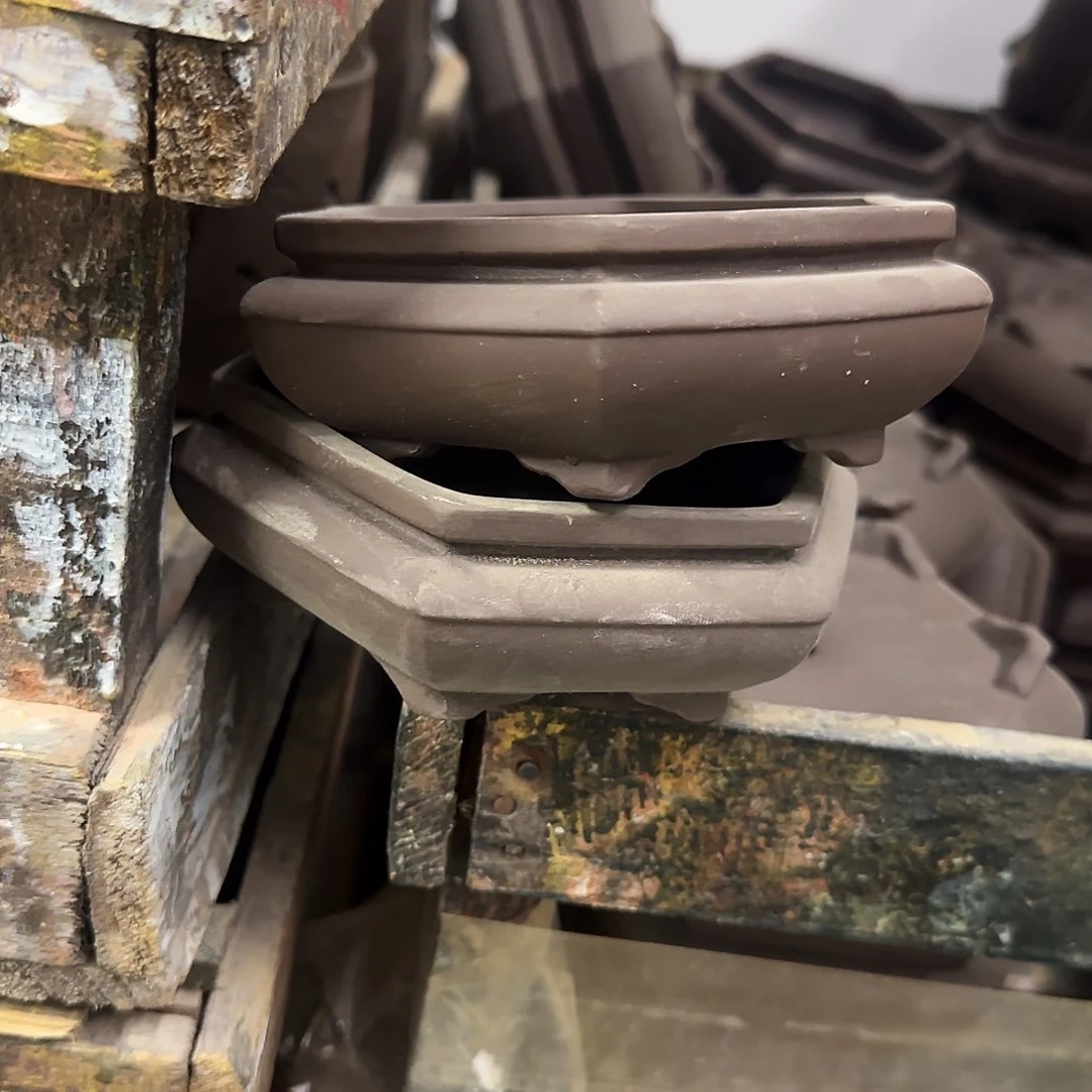 2个福利局［凑9元包邮24小时发］