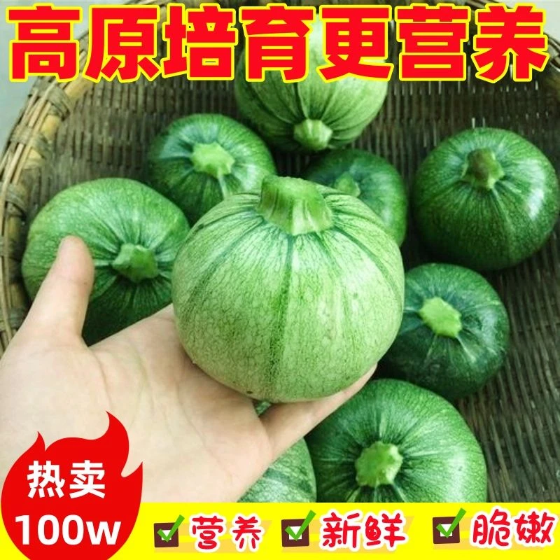 湖南小圆南瓜四季新鲜嫩南瓜四季绿皮西葫芦炒南瓜四季蔬菜种子