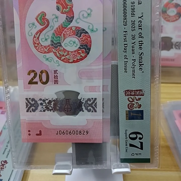 塑料蛇钞如图所示060600829龙珠王朦胧王