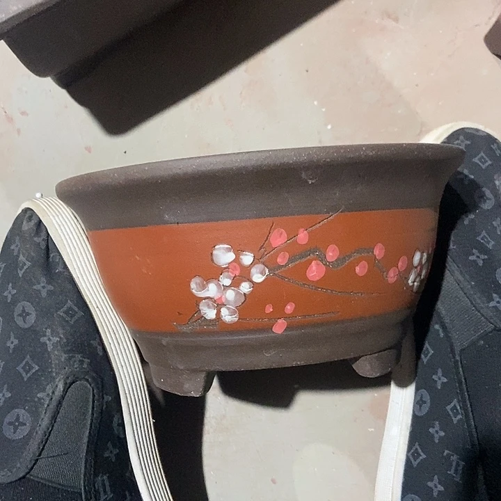 紫砂花盆20花盆花盆花盆花盆花盆花盆