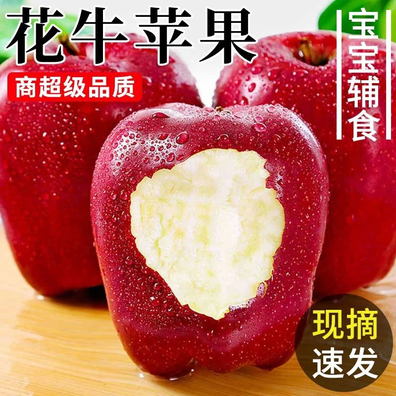 【次日送达】正宗甘肃天水花牛苹果粉脆两吃今天下单明日送达甘肃省