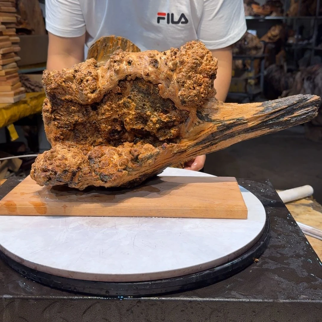 木暂*王一刀琥珀木83