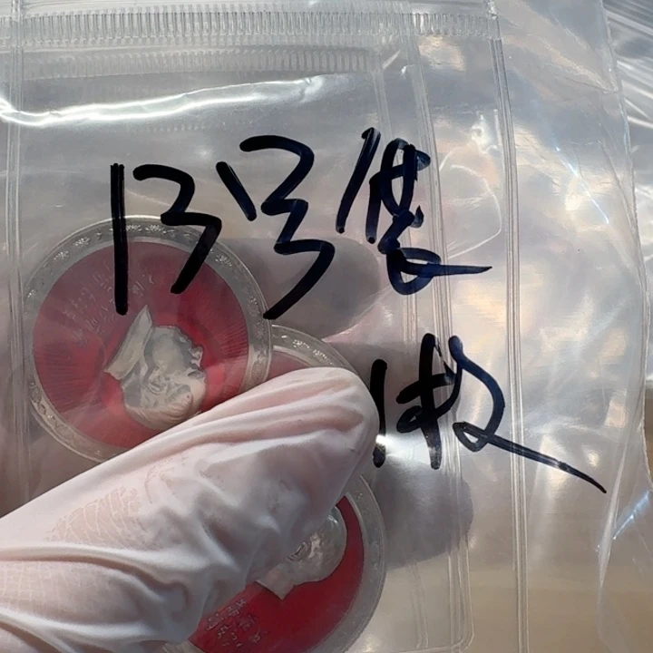 其他普通金属13号袋子,1枚如图毛章