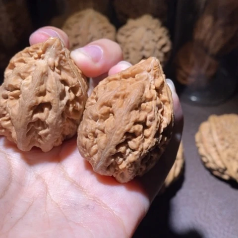 把件文玩核桃东北野生楸子小园 271