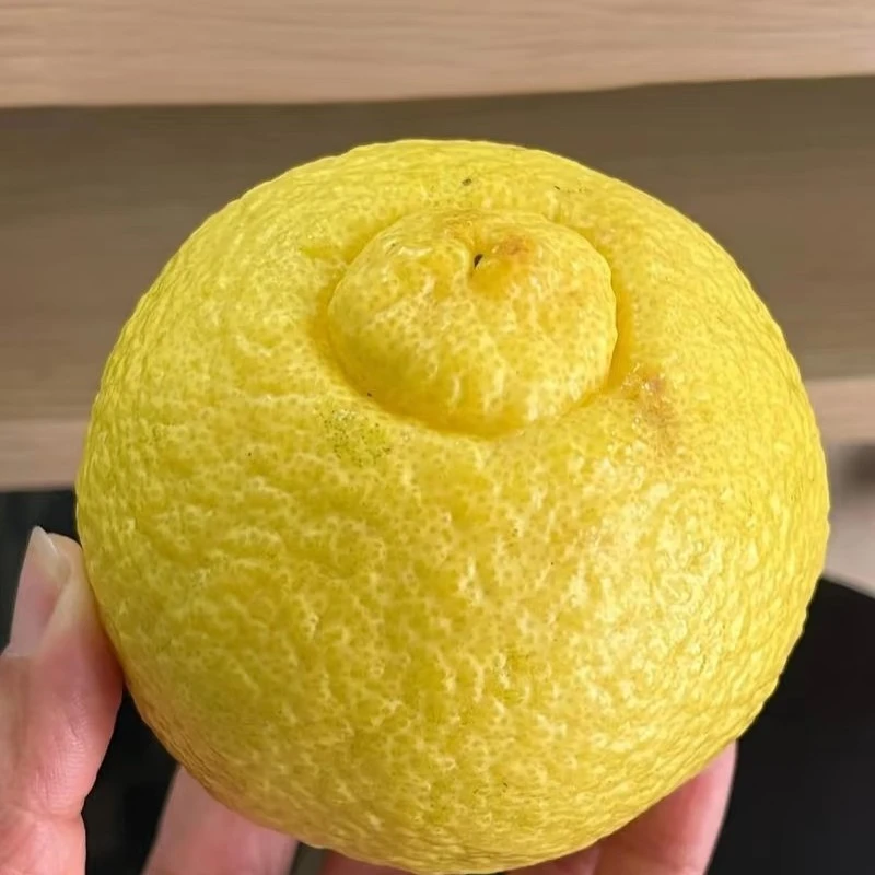 黄金贡柚，纯甜，脆爽！麻阳，200g/个黄金贡柚