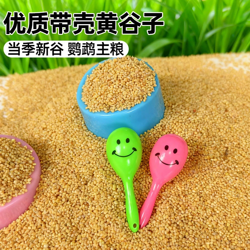 虎皮鹦鹉饲料专用粮食鸟粮带壳黄谷子小米鸟食鸟粮营养饲料鹦鹉