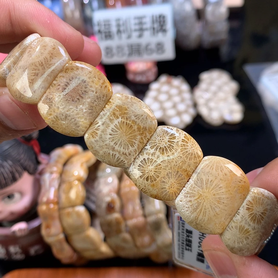 【闪购商品】颈饰未镶嵌硅化珊瑚（珊瑚玉）22号大花花