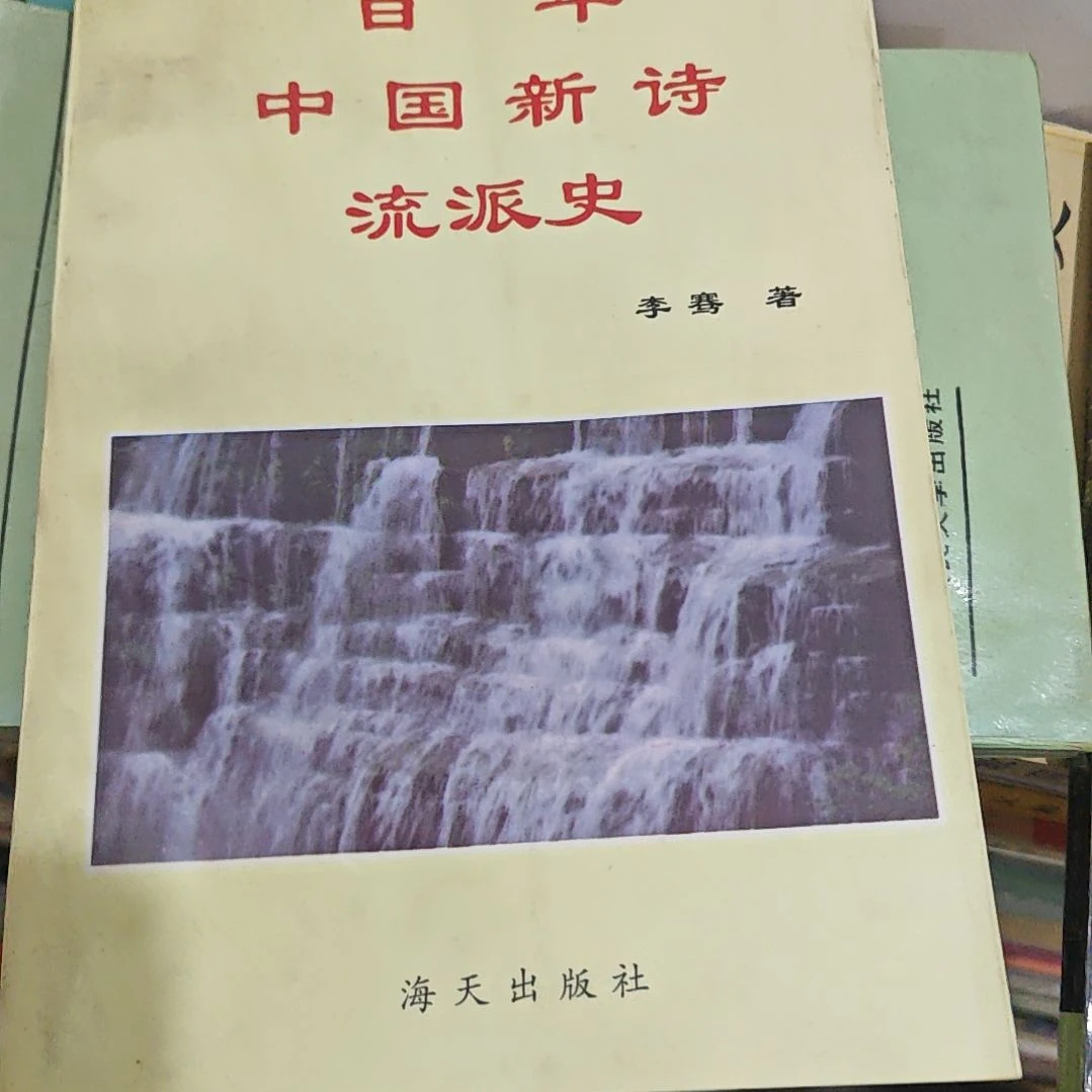百年中国新诗流派史。
