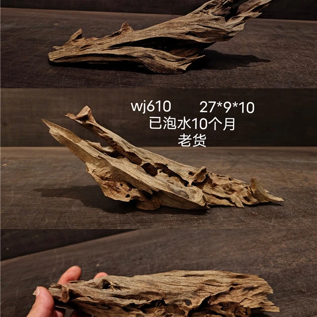 [麦子]马来流木 微精 小型沉木鱼缸造景摆件南美风格原生爬宠树根