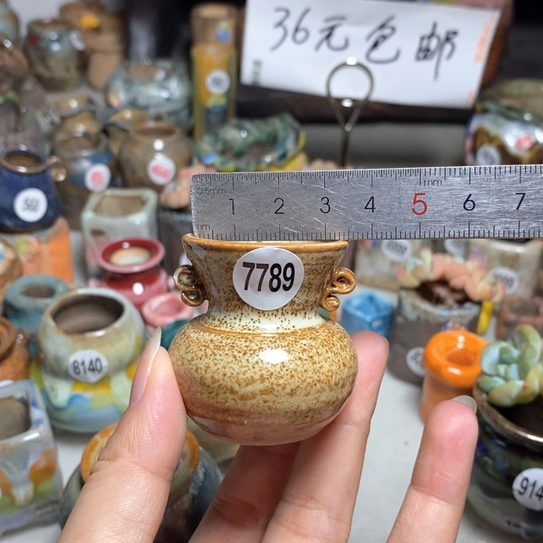 拍5送一个小礼物