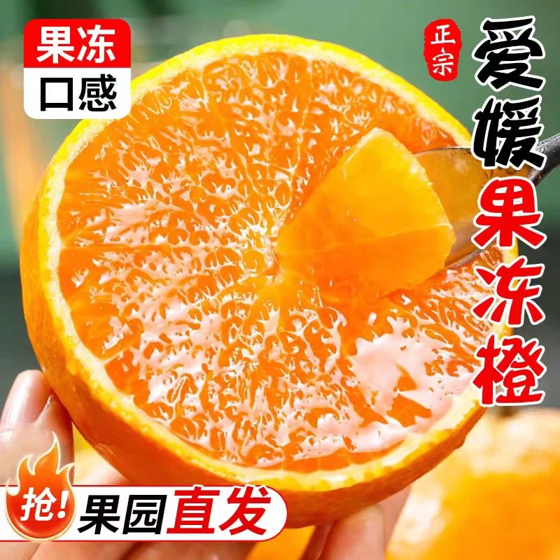 【果冻橙】四川果冻橙爱媛38号果冻橙子新鲜水果坏果包赔产地直发