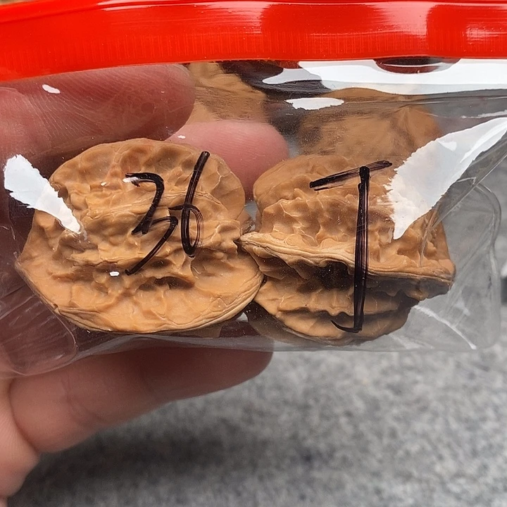 文玩核桃吊坠三棱